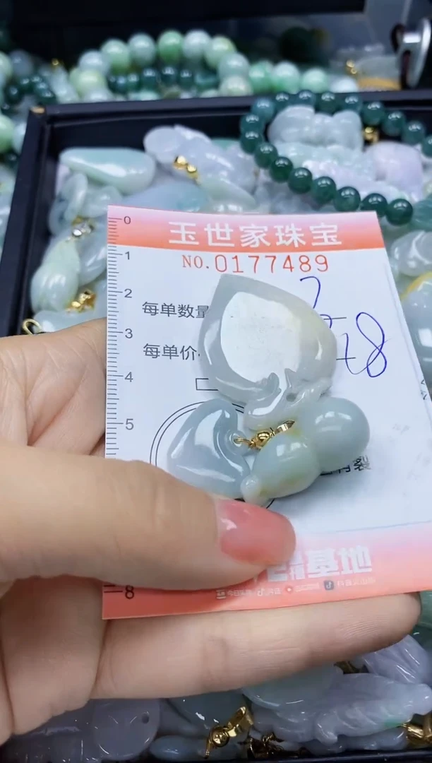 【闪购商品】翡翠颈饰未镶嵌闪购0177489