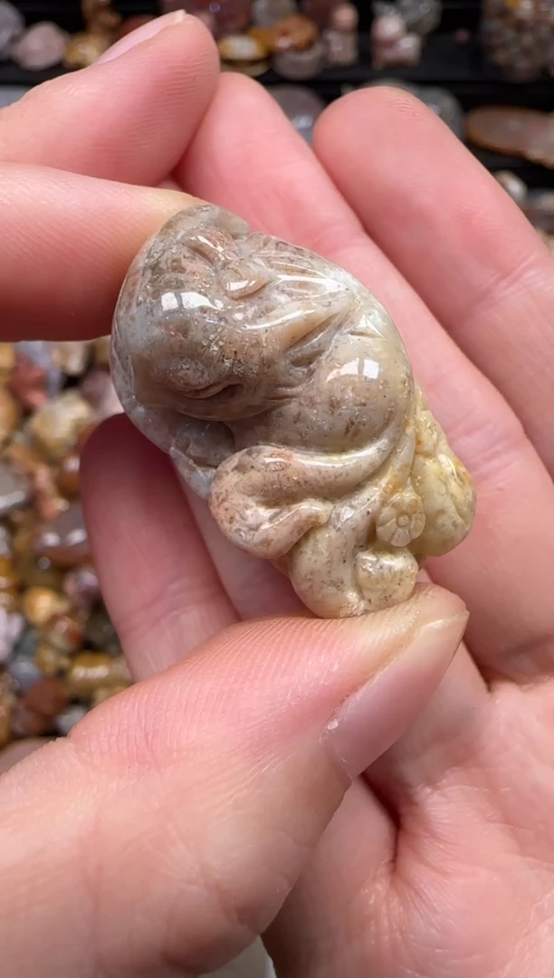 硅化珊瑚（珊瑚玉）未镶嵌颈饰258