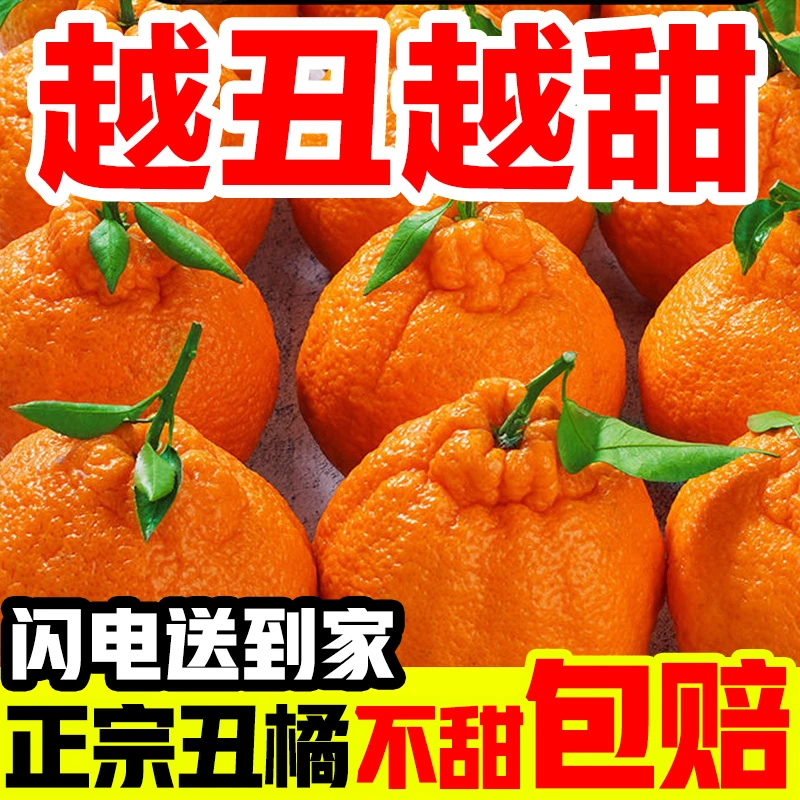 正宗四川不知火丑橘新鲜水果丑八怪当季果园直供非春见耙耙柑