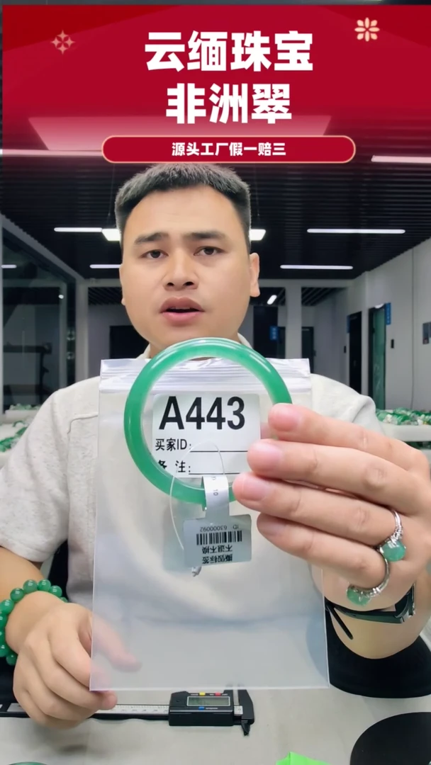 未镶嵌手镯石英质玉（非洲翠）60圈口A443