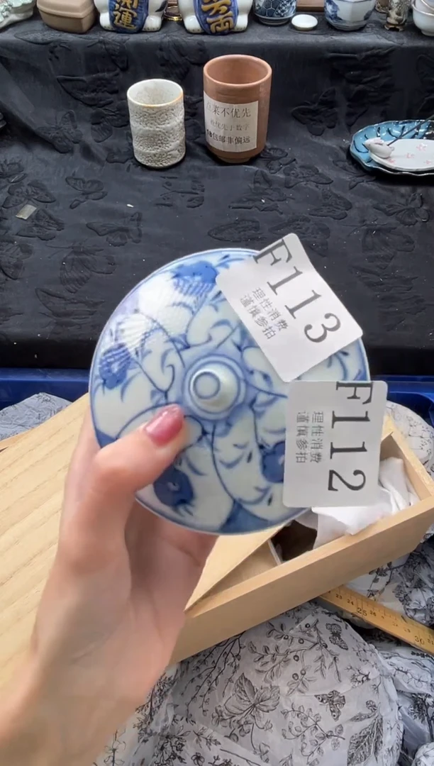 瓷片?**?       F113