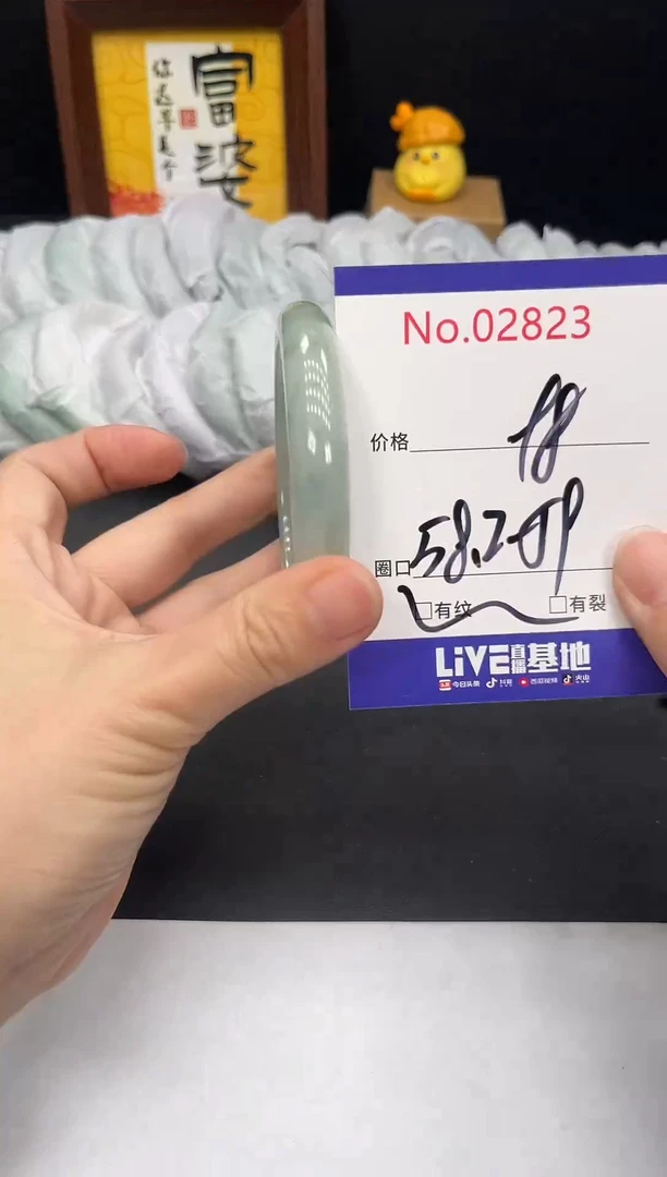 未镶嵌手镯翡翠拍下以实物为准2823