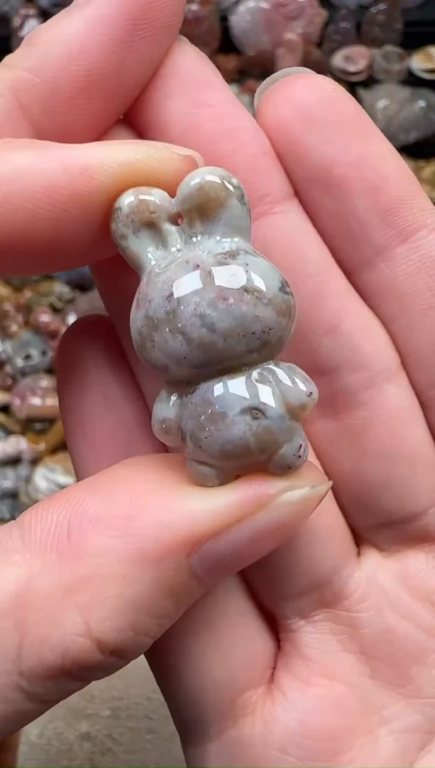 颈饰未镶嵌硅化珊瑚（珊瑚玉）530