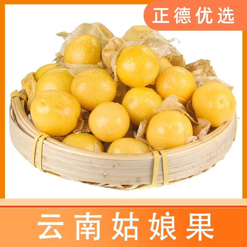 【云南姑娘果】当季水果香甜多汁灯笼果菇娘果0.5斤/1斤/2斤 Y