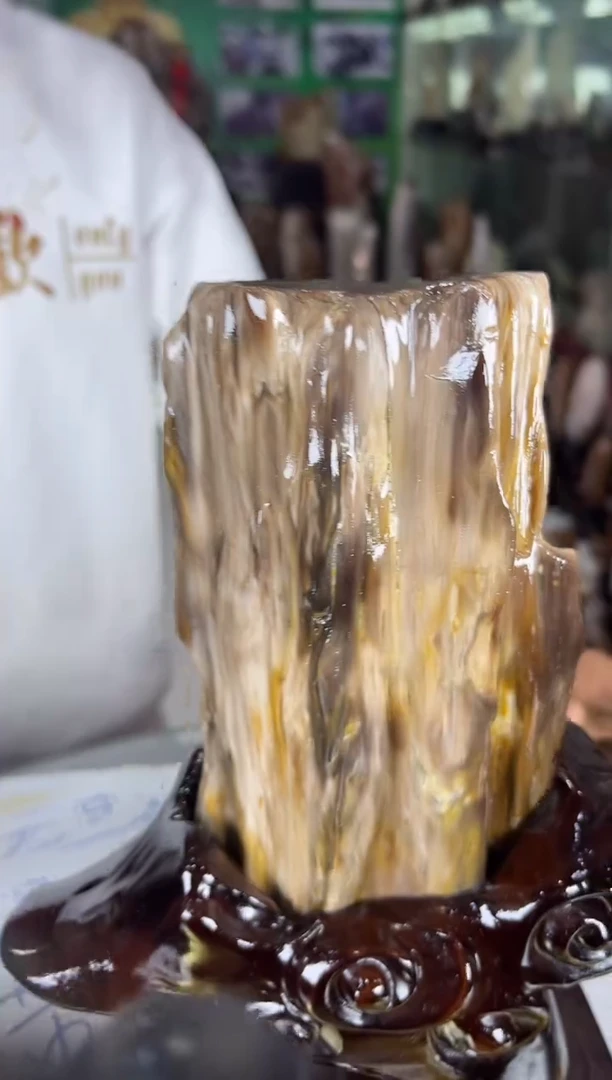 未镶嵌珠宝奇石硅化玉缅甸天然树化玉精品居家摆件