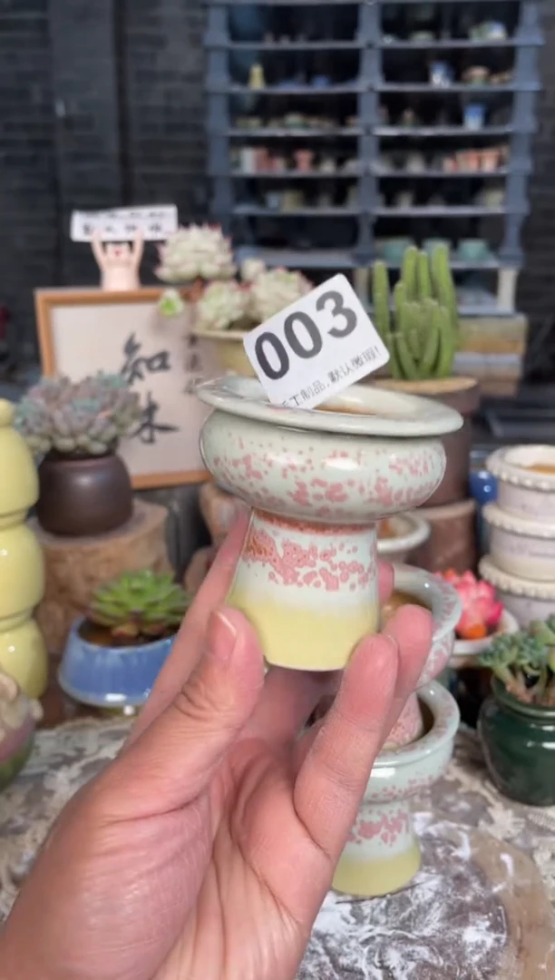 瓷片003小芳直播编号