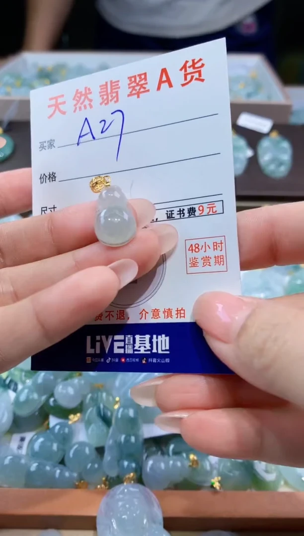颈饰未镶嵌翡翠天然翡翠A货挂件