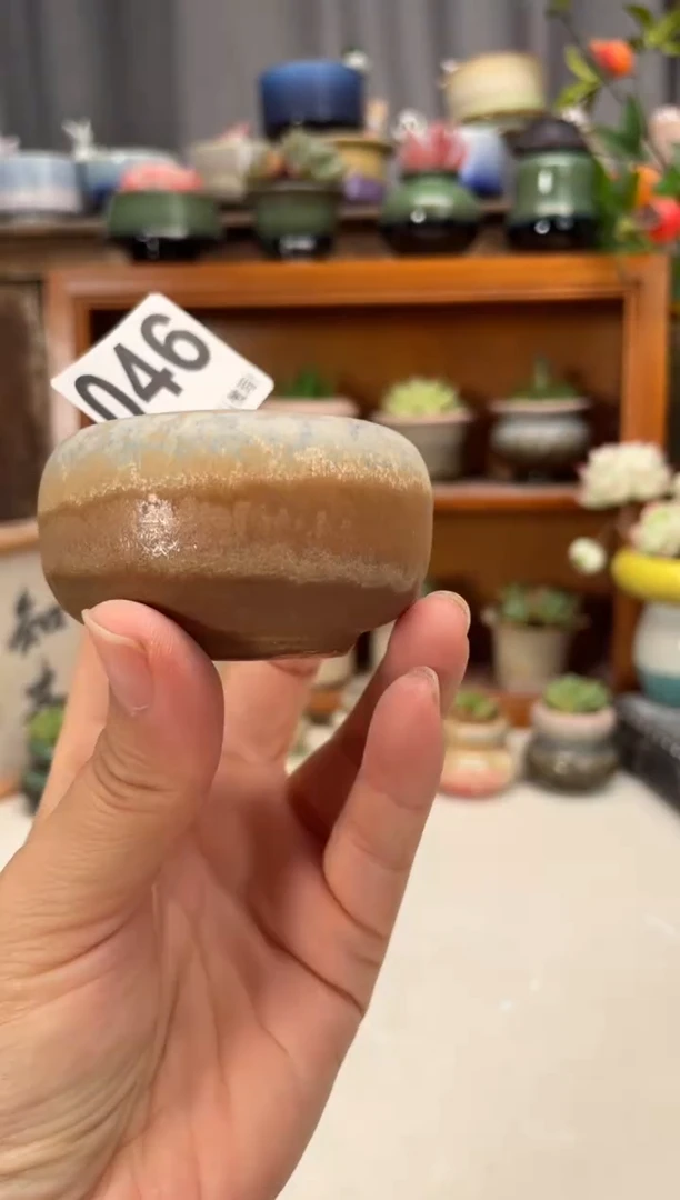 瓷片046知木小芳花盆