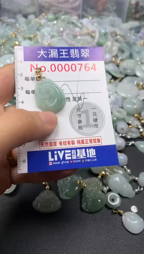 翡翠未镶嵌吊坠(不含链)764