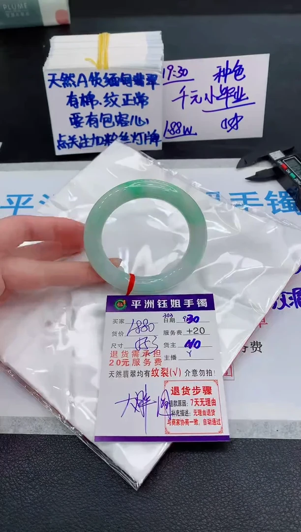 未镶嵌手镯翡翠1111111