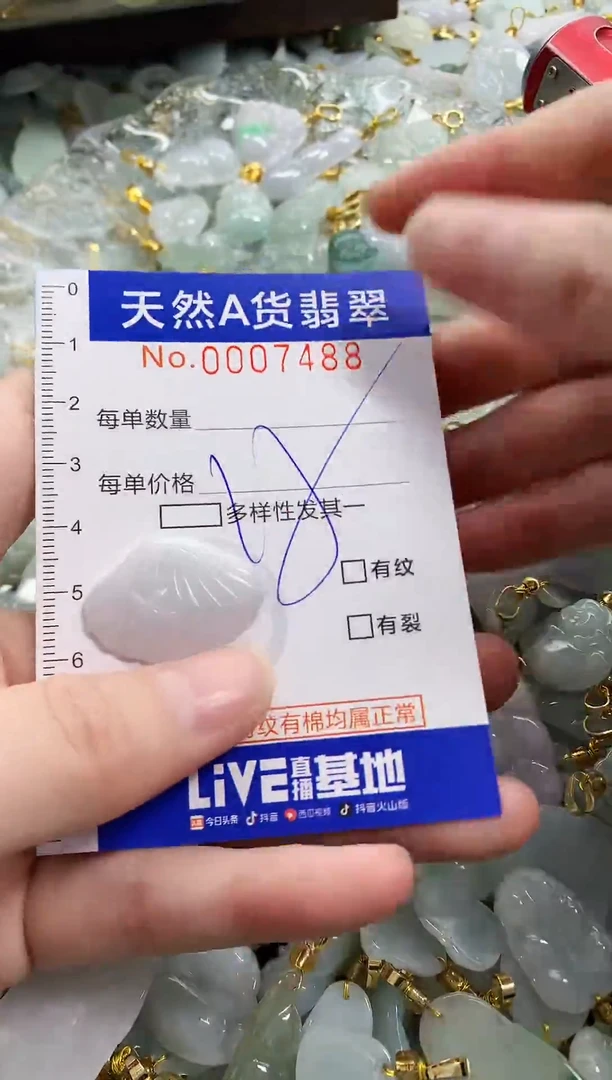 颈饰未镶嵌翡翠天然A货翡翠