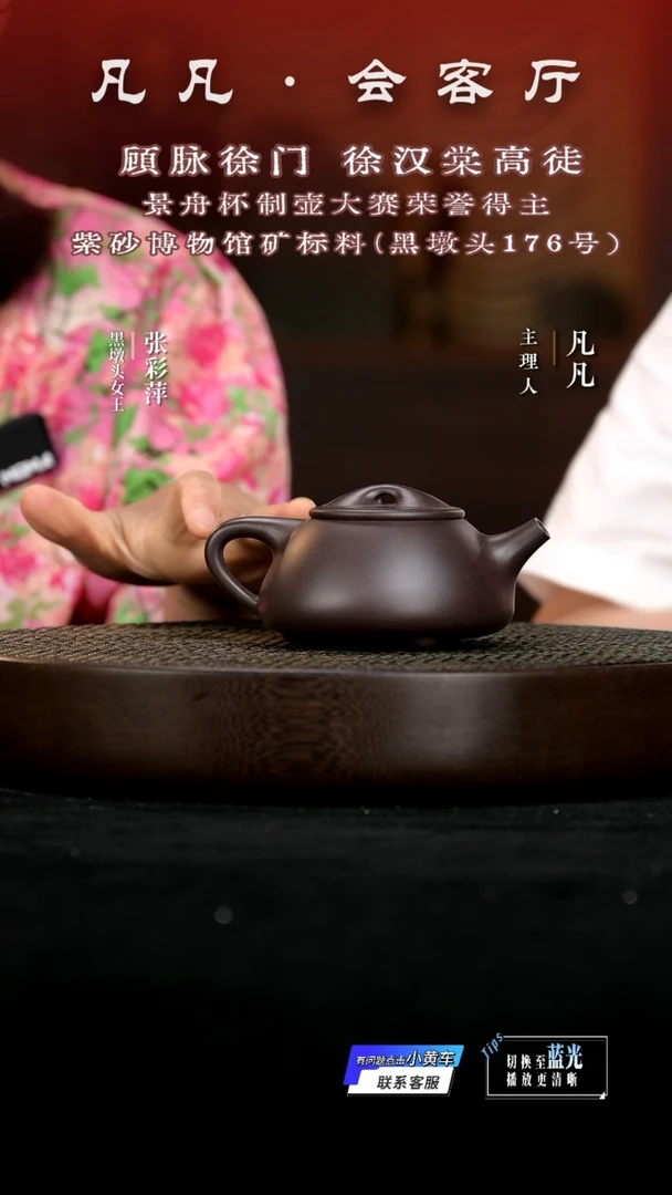茶壶紫砂ZCP27张彩萍石瓢黑墩头230CC