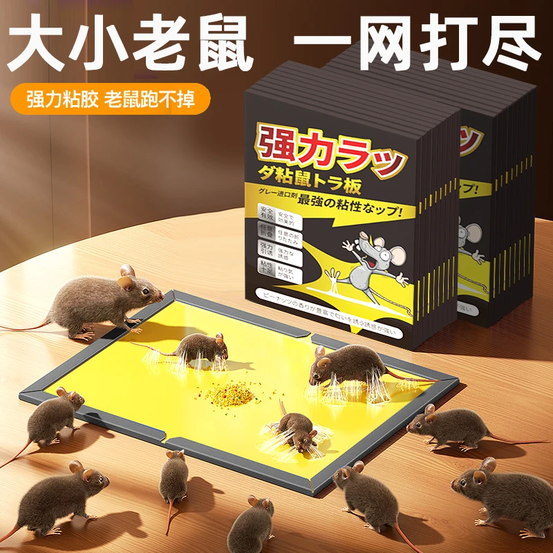 粘鼠板捉粘大老鼠贴沾胶家用室内扑抓逮老鼠粘灭鼠捕鼠强粘力