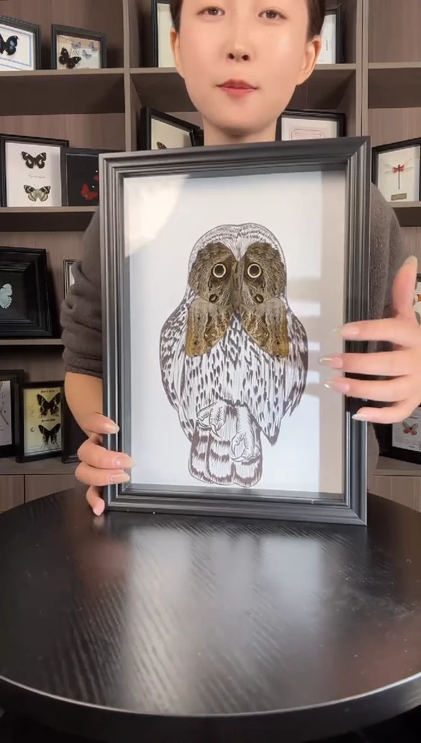 实木竖款猫头鹰环蝶（蝴蝶装饰画A4框）