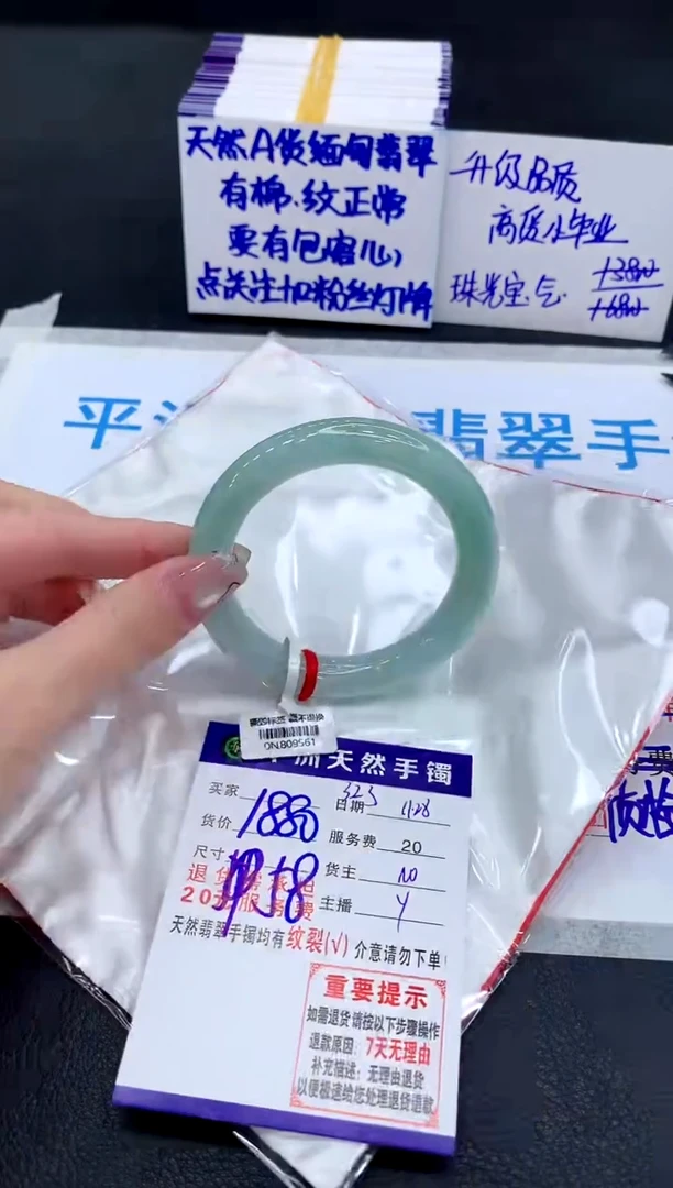 未镶嵌手镯翡翠11111
