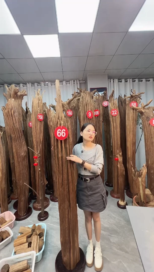 沉香摆件疯*沉香原料 七天无理由
