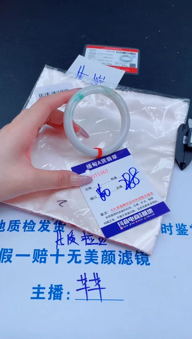 未镶嵌手镯翡翠288