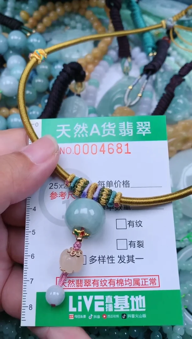 翡翠未镶嵌颈饰.0004681