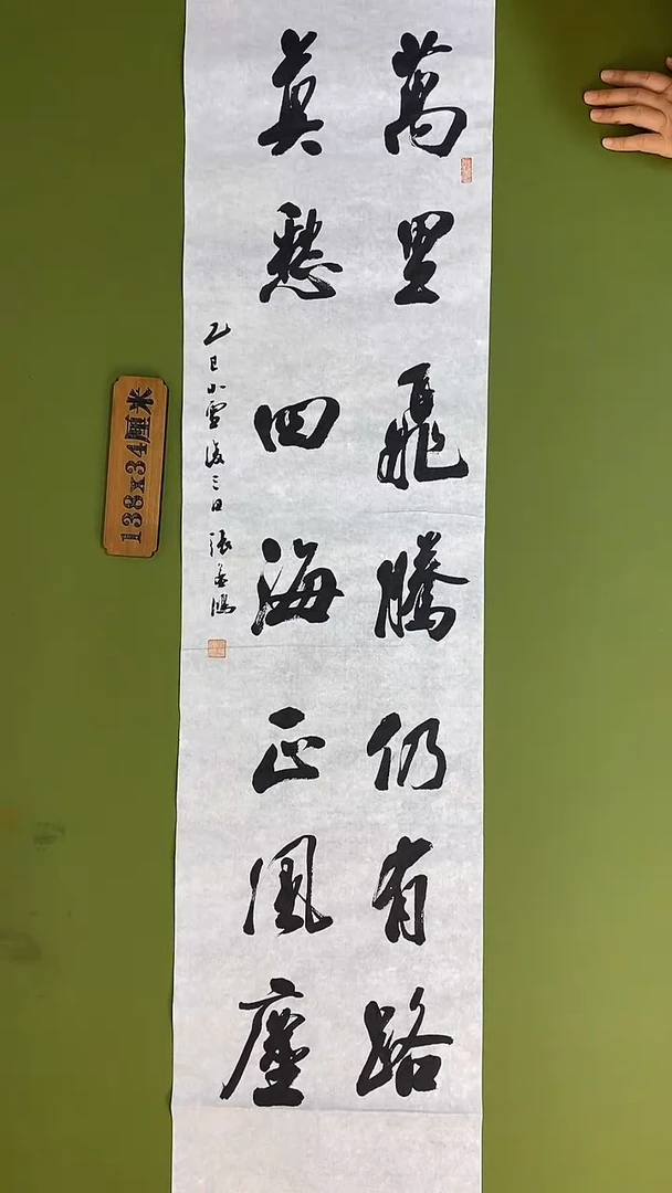 书法书法 张若鸿 尺寸138cm*34cm