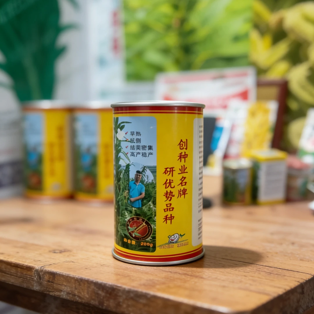 杆叶黄芝麻单罐用品
