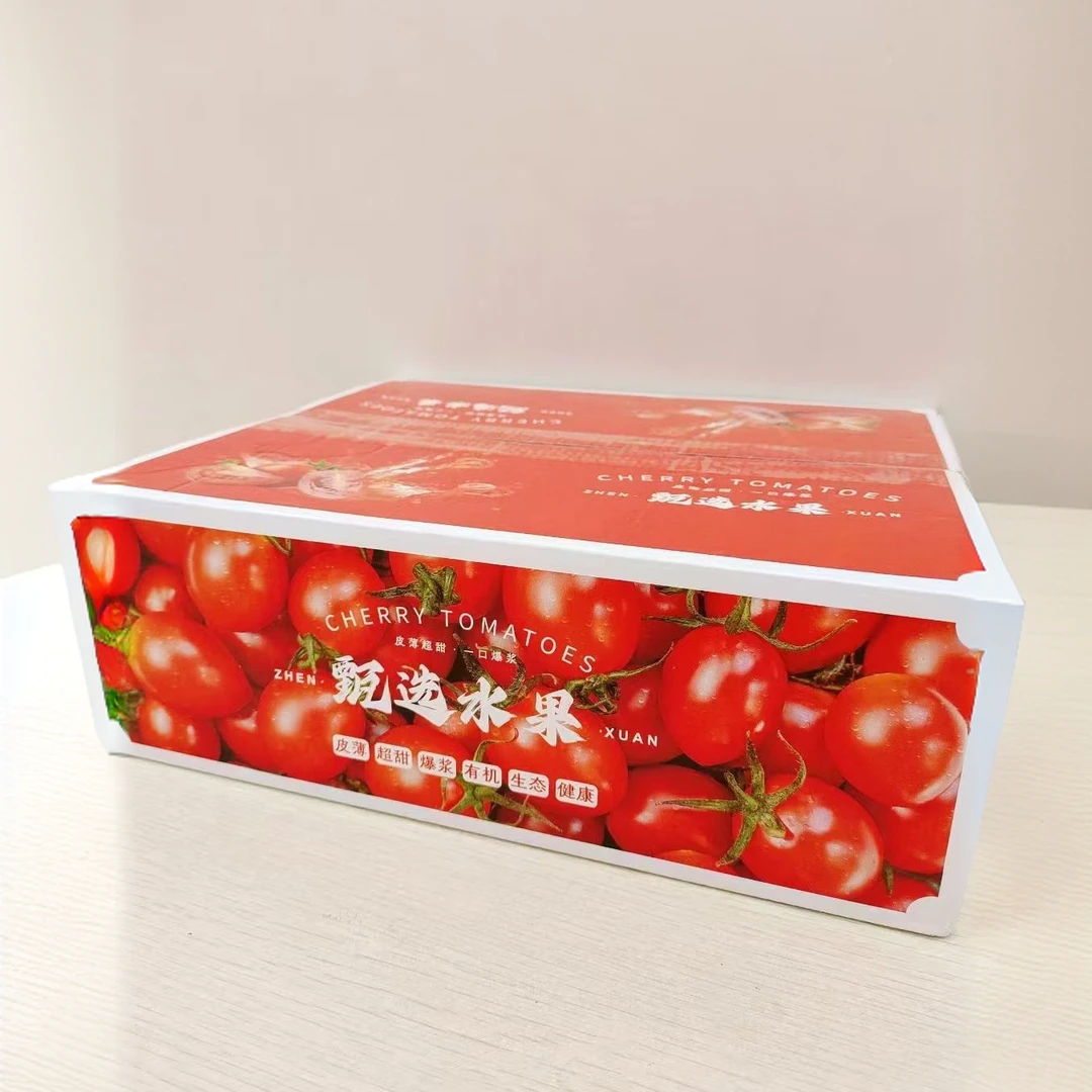 【鼎天绿园】千禧圣女果小番茄