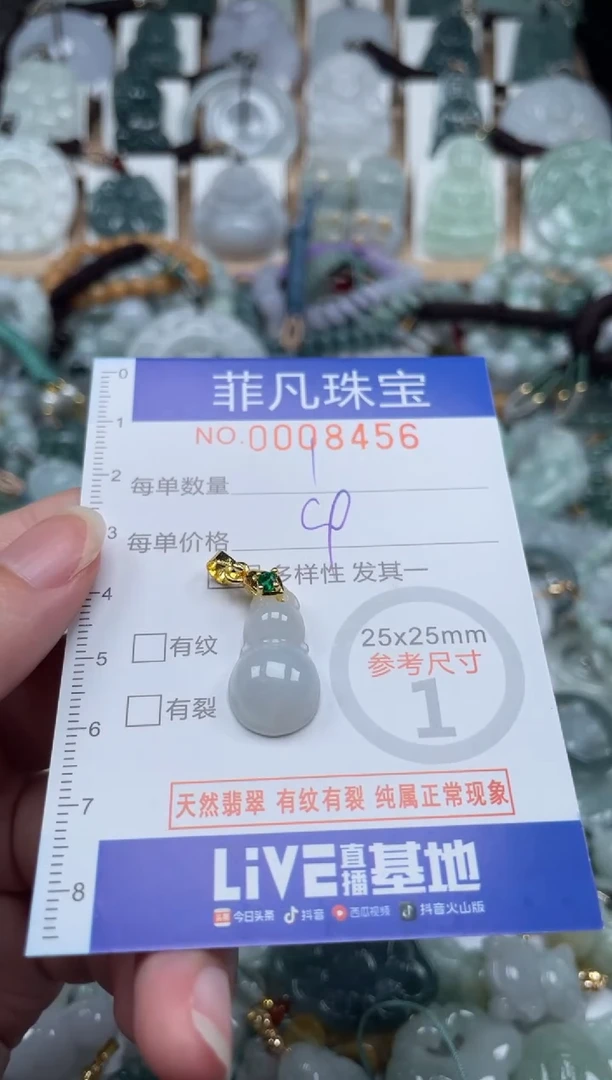 翡翠未镶嵌颈饰00..8456