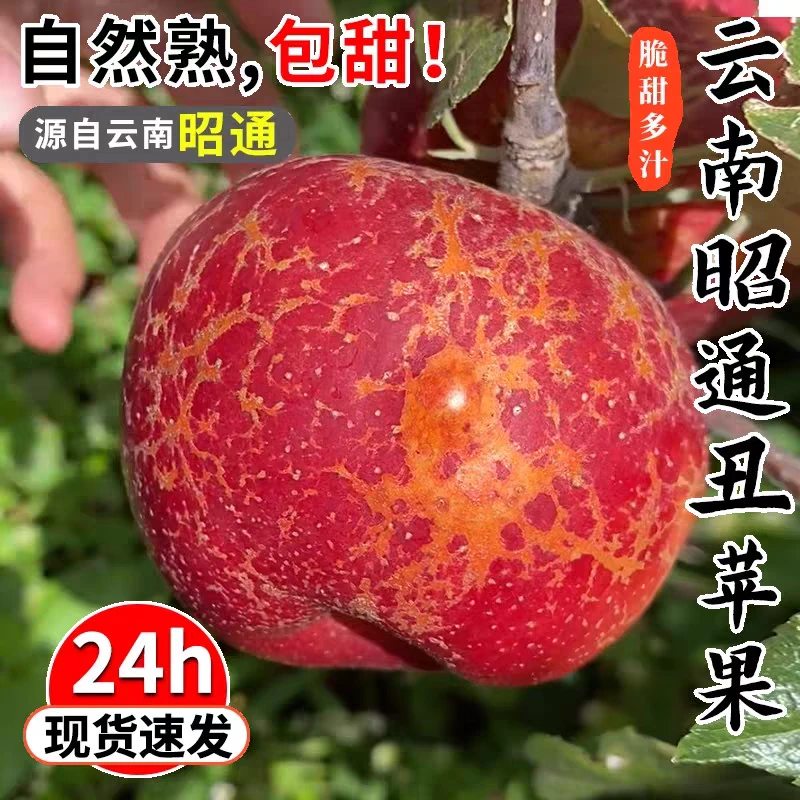 云南昭通冰糖心丑苹果新鲜现摘脆甜多汁肉厚营养水果