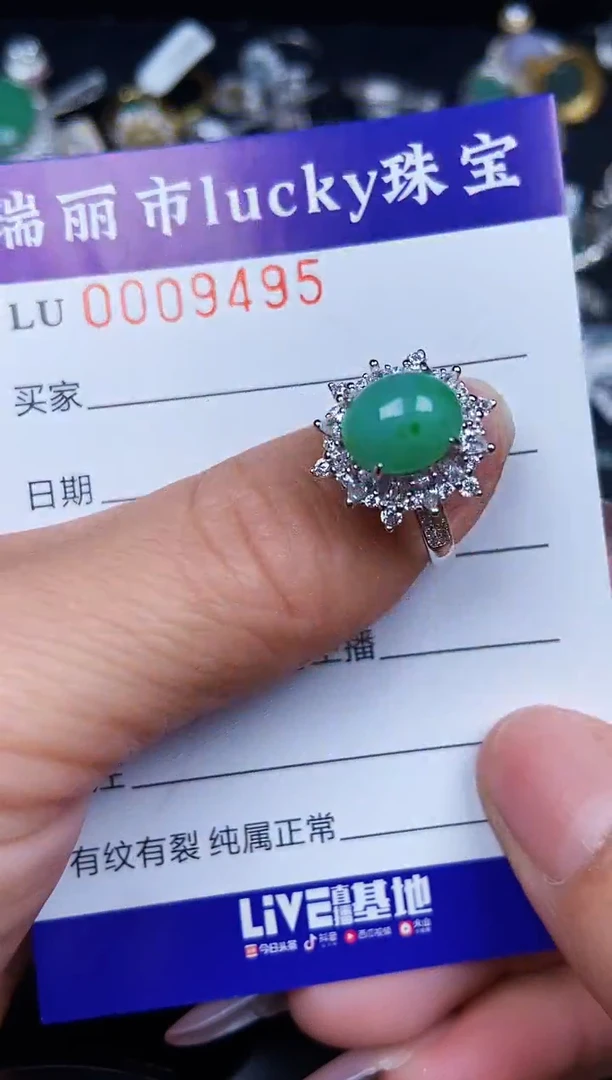 翡翠银S925镶嵌颈饰9495