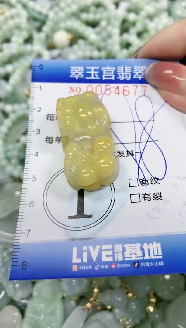 【闪购商品】翡翠颈饰未镶嵌闪购0054677