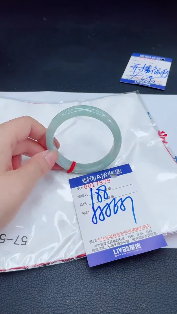 未镶嵌手镯翡翠我4
