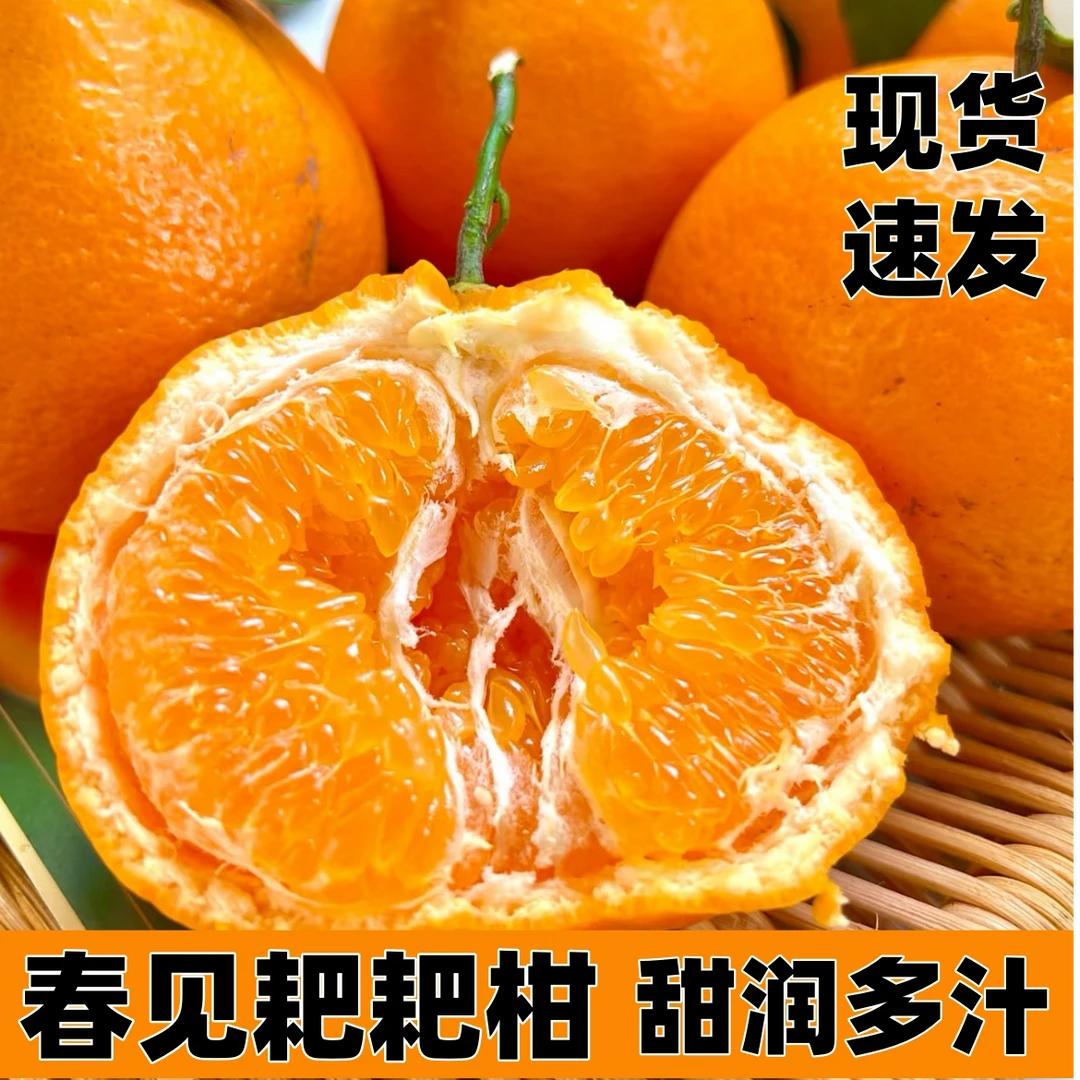 【彩箱发货】S正宗四川春见耙耙柑应季水果现货速发甜润多汁