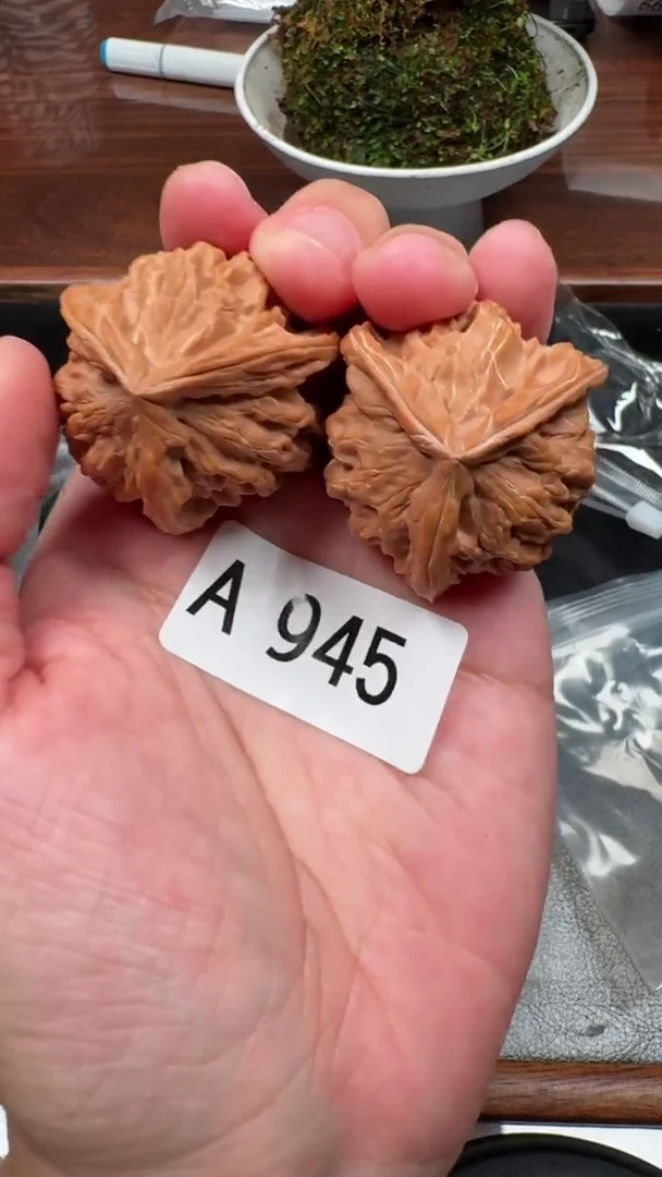 把件文玩核桃A945盘山三棱凹底矮桩39尺