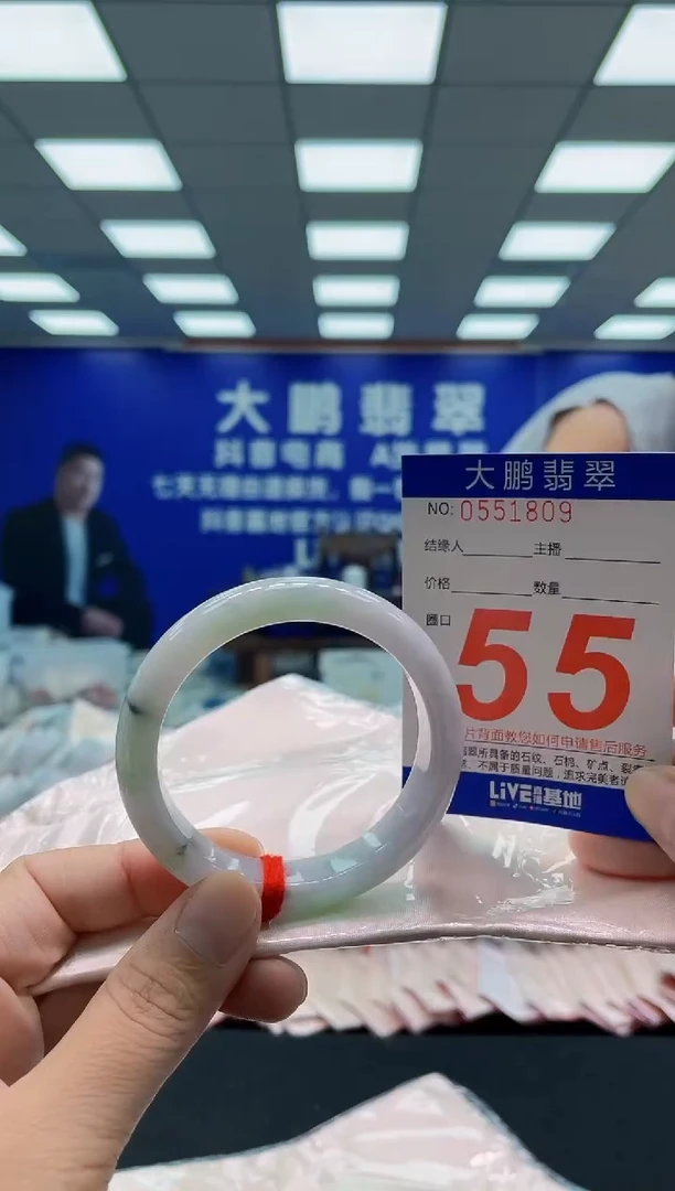 未镶嵌手镯翡翠AAAAAAAAA