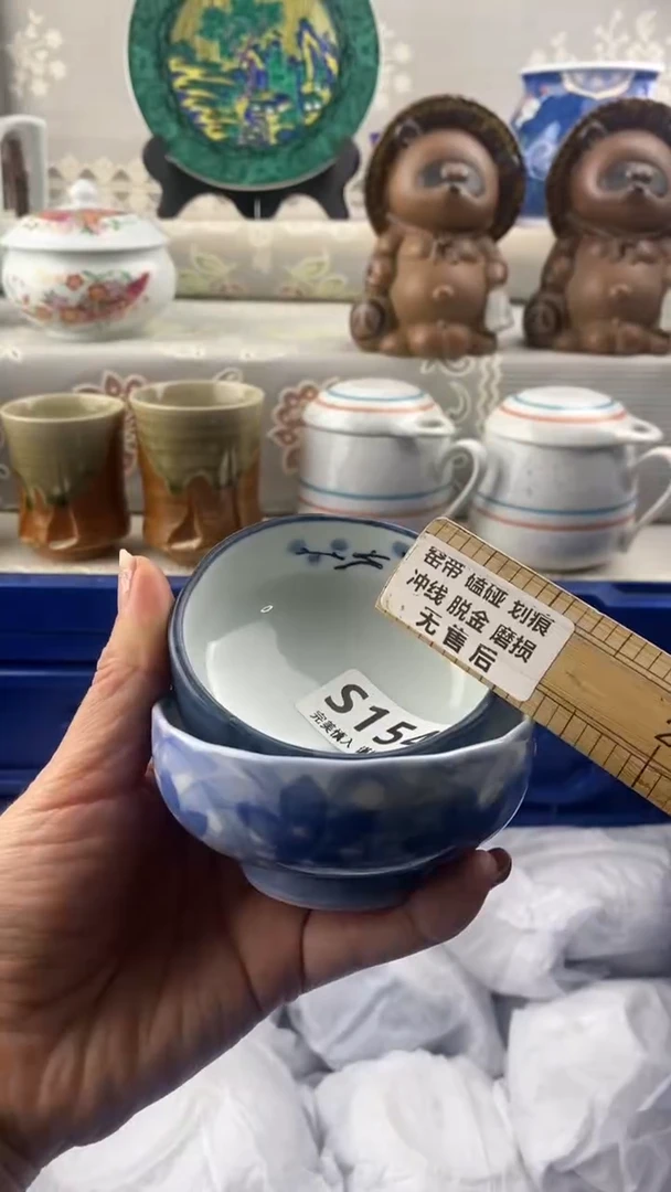 【闪购商品】s154