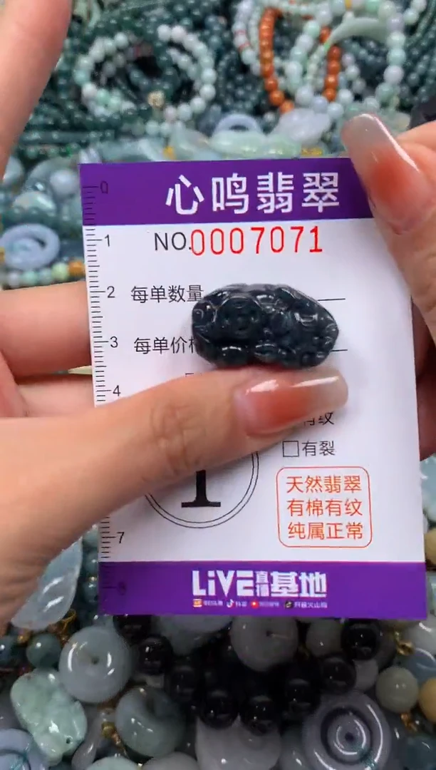 颈饰未镶嵌翡翠闪购007071