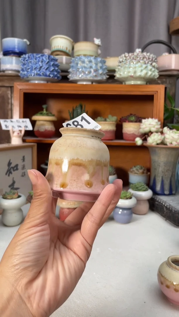 瓷片681小芳花盆直播编号