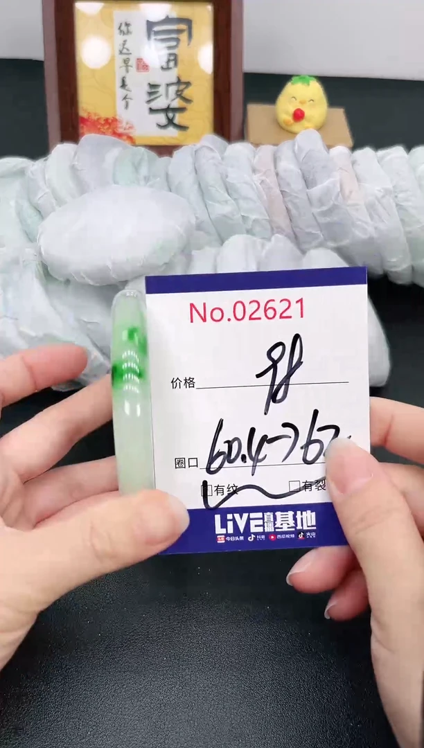 未镶嵌手镯翡翠2621