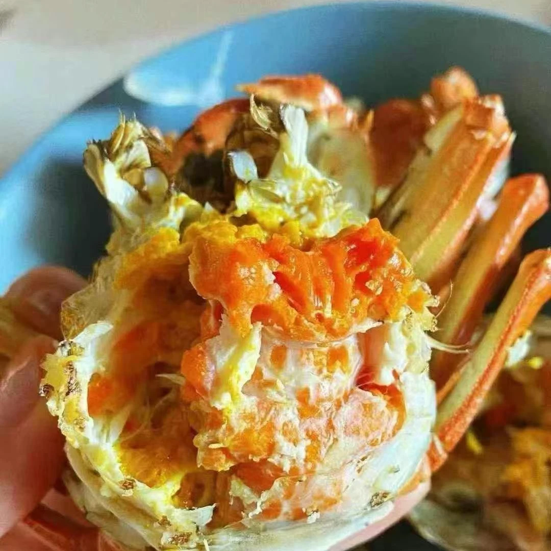 活蟹3.4-3.1两精选有黄母蟹8只/10只顺丰发货有膏有肉蟹海鲜