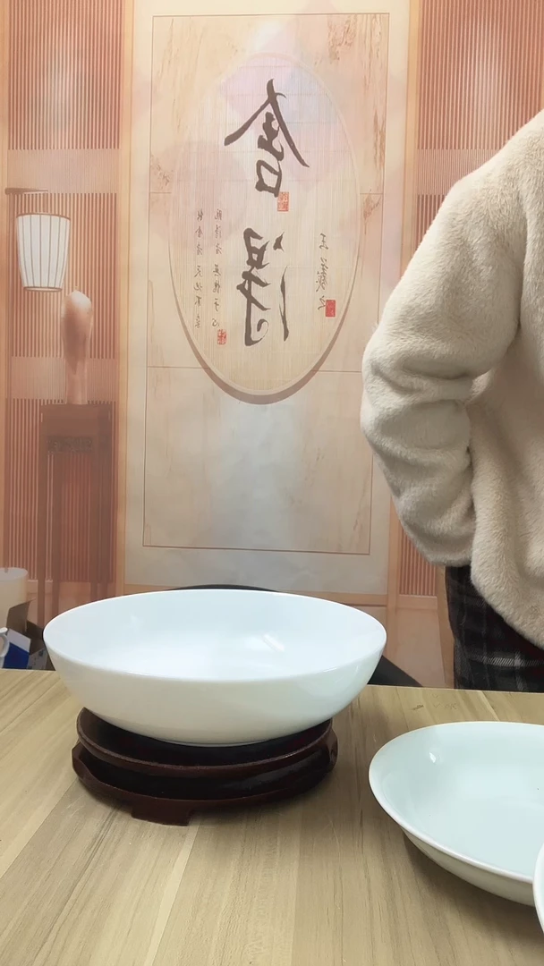 9英寸 景德镇高温白瓷深盘 1个