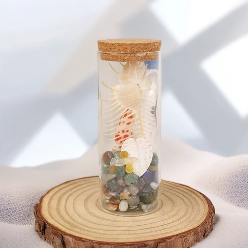 维纳斯漂流瓶家居摆件装饰礼物礼品彩玛瑙文创家居贝壳天然纪念