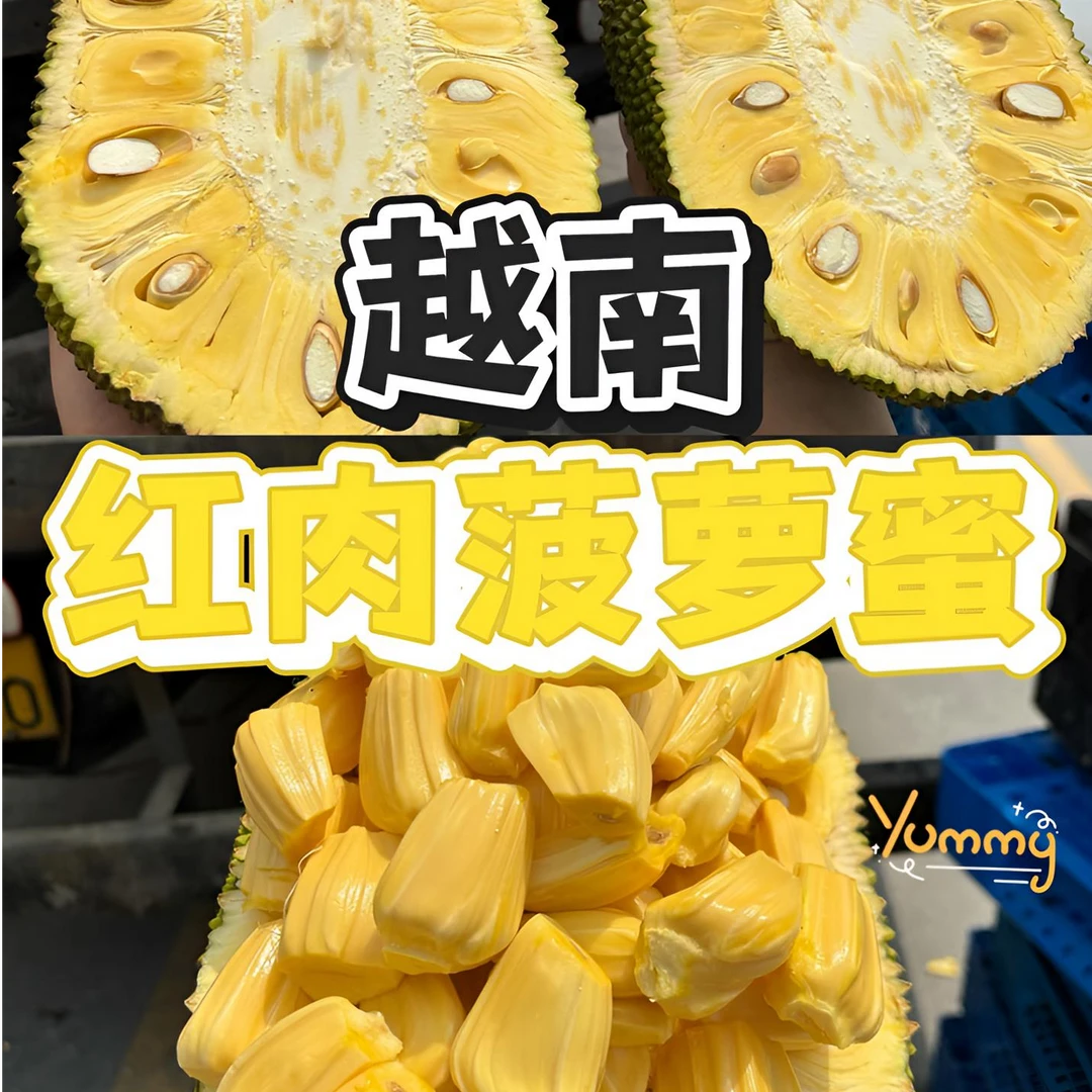 越南红肉菠萝蜜 【手挑精选双A果】 老树自然成熟 香甜脆 提供去芯