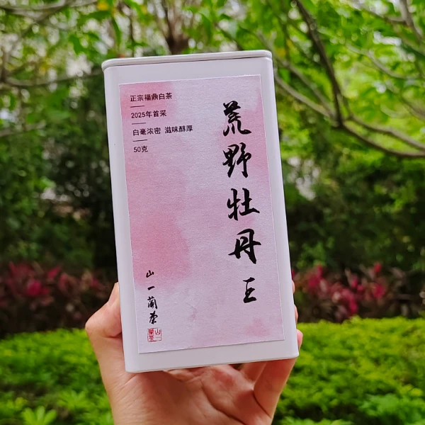 荒野牡丹王 正宗福鼎白茶 2025年春茶白牡丹 鲜爽甘醇 回甘持久