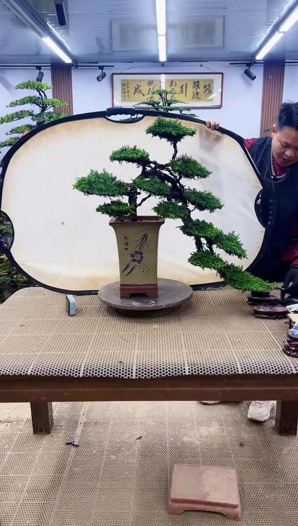 【闪购商品】0000000