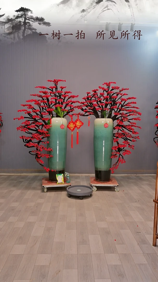 以实际为准用****2北美冬青