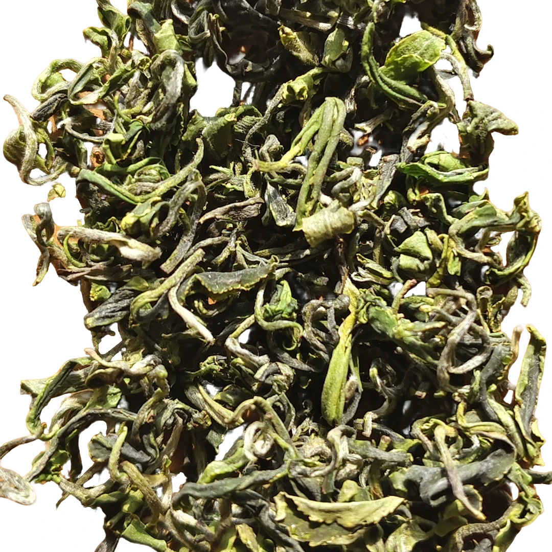 日照绿茶 晚秋茶