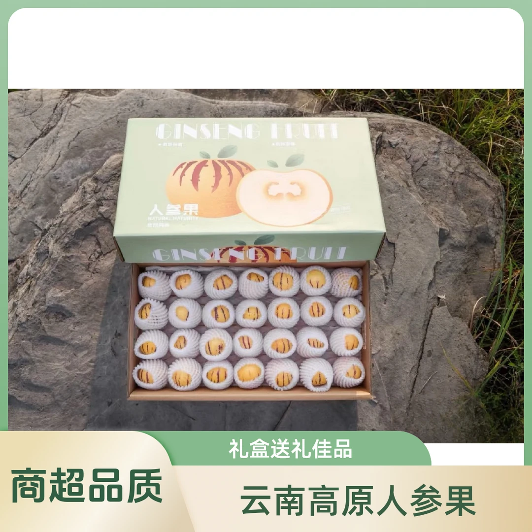 【云南树熟人参果礼盒装】长生果树上熟多汁黄肉小果坏果包赔