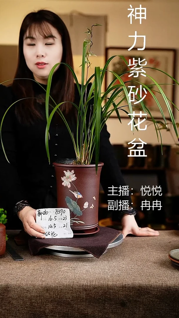 紫砂花盆花卉工艺8390+z