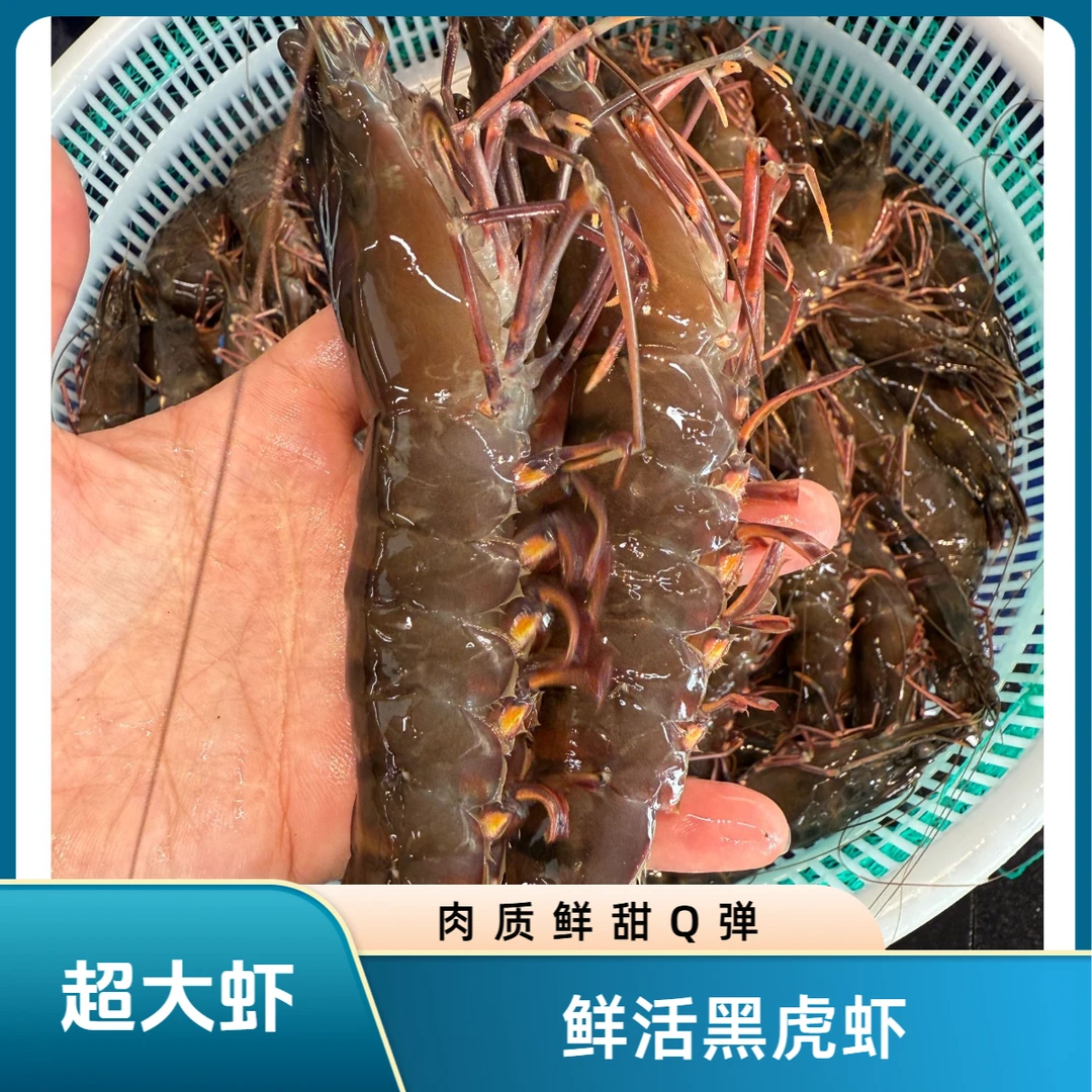【鲜活黑虎大虾】老虎虾新鲜特大号【 保鲜不保活】