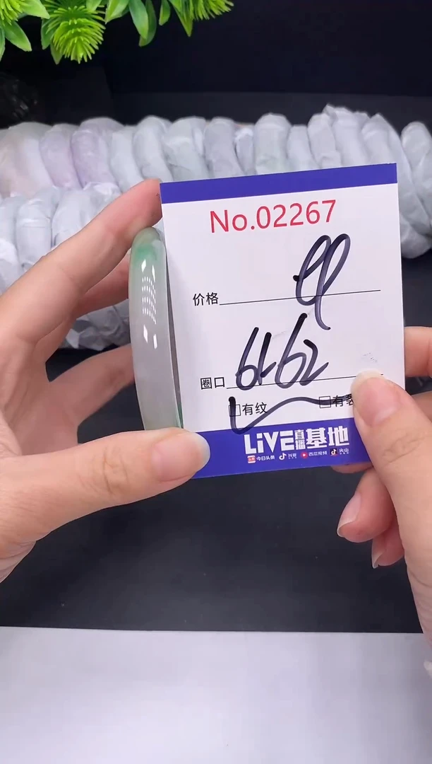 未镶嵌手镯翡翠2267
