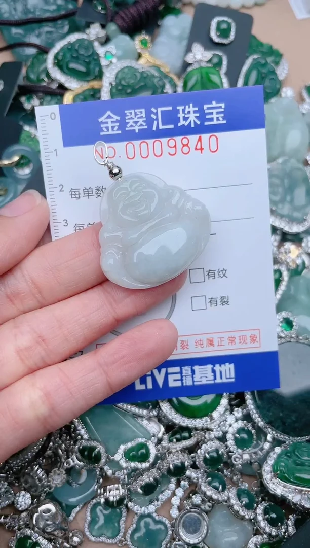【闪购商品】翡翠颈饰未镶嵌9840.....